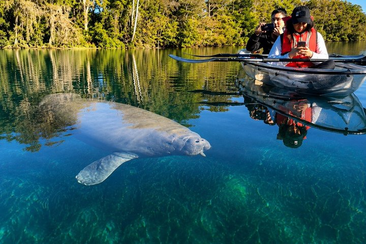 Silver Springs 2-Hour Glass Bottom Guided Kayak Eco Tour - Photo 1 of 25
